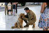 Love and Sunshine (2019) DVD DVD Movie Buffs Forever
