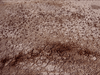 Legion of Fire: Killer Fire Ants! aka Marabunta DVD DVD Movie Buffs Forever