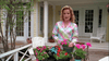 Murder in the Hamptons DVD DVD Movie Buffs Forever