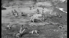 Movie Buffs Forever DVD Battle at Bloody Beach DVD (1961)