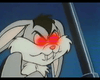 Movie Buffs Forever DVD Bunnicula The Vampire Rabbit DVD (1982)