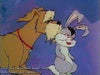 Bunnicula The Vampire Rabbit DVD (1982)