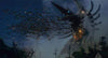 Movie Buffs Forever DVD Gamera 2: Attack of Legion DVD (1996)