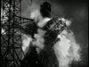 Movie Buffs Forever DVD Godzilla, King of the Monsters! DVD (1954)