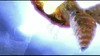 Movie Buffs Forever DVD Godzilla, Mothra and King Ghidorah: Giant Monsters All-Out Attack  DVD (2001)