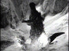 Movie Buffs Forever DVD Godzilla Raids Again DVD (1955)