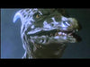 Movie Buffs Forever DVD Godzilla vs Mechagodzilla II DVD (1993)