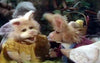 The Tale of the Bunny Picnic DVD (1986) DVDs Movie Buffs Forever 
