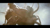 The War of the Gargantuas DVD (1966) DVD Movie Buffs Forever