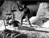 The Abominable Snowman DVD (1957) DVD Movie Buffs Forever