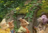 The Tale of the Bunny Picnic DVD (1986) DVDs Movie Buffs Forever