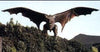 Gamera: Guardian of the Universe DVD (1995) DVDs & Videos Movie Buffs Forever