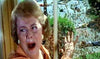The Swarm DVD (1978) DVD Movie Buffs Forever