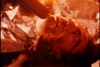 Nemesis DVD (1992) DVD Movie Buffs Forever