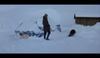Bear Island DVD (1979) DVDs & Videos Movie Buffs Forever