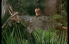 The Walking Dead DVD (1995) DVD Movie Buffs Forever