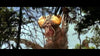Son of Godzilla DVD (1967) DVD Movie Buffs Forever