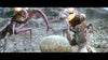 Son of Godzilla DVD (1967) DVD Movie Buffs Forever