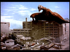 Rodan DVD (1956) DVD Movie Buffs Forever