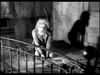 The Devil's Partner DVD (1961) DVD Movie Buffs Forever