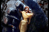 The War of the Gargantuas DVD (1966) DVD Movie Buffs Forever