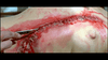 Flesh for Frankenstein DVD (1973) DVD Movie Buffs Forever