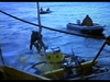 Goliath Awaits DVD (1981) DVD Movie Buffs Forever