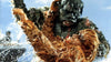 The War of the Gargantuas DVD (1966) DVD Movie Buffs Forever