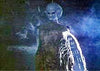 Without Warning DVD (1980) DVD Movie Buffs Forever