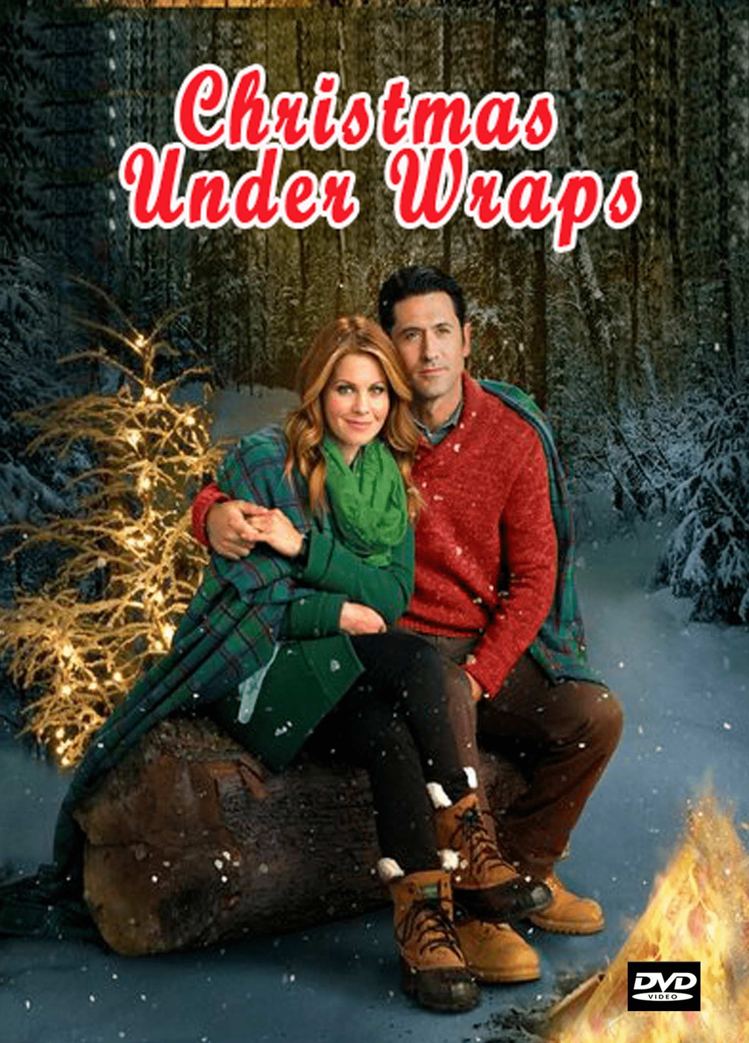 Christmas Under Wraps 2014 DVD Classic Movies on DVD