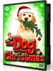 A yellow Labrador wearing a Santa hat and holding a pine branch in its mouth on The Dog Who Saved Christmas (2009) DVD cover, featuring two men pictured at the bottom.