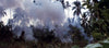 Dense white smoke drifts through tropical vegetation and palms in a jungle, evoking scenes from Tornado: The Last Blood (1983) DVD, partially obscuring the foliage and sky.