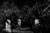 A dark, shadowy graveyard at night with two old headstones illuminated by moonlight—an eerie scene perfect for fans of rare classic horror films like Son of Dracula (1943) DVD.