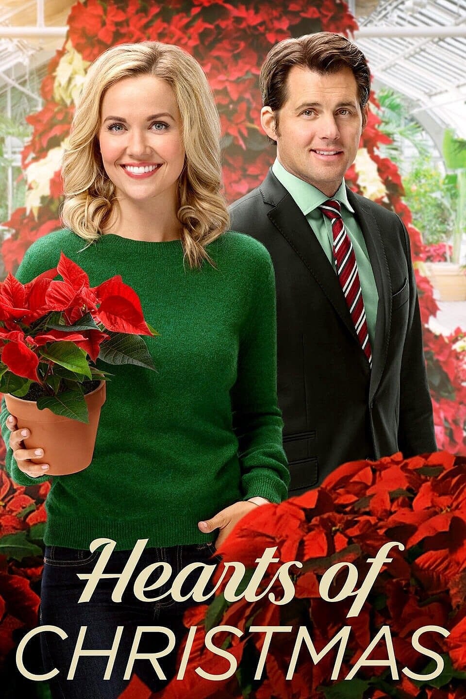 Shop the Hearts of Christmas (2016) DVD Family Romance Movie on DVD