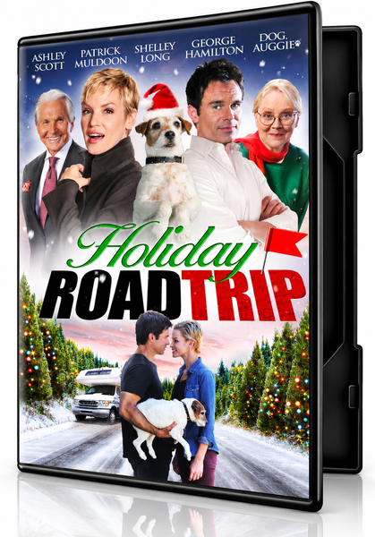 DVD case cover for Holiday Road Trip (2013) showing a group of actors and a dog wearing a Santa hat above a couple holding a dog in front of a camper van on a snowy road.