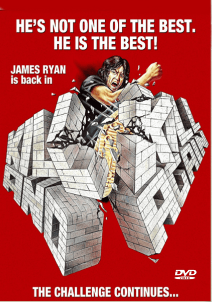 Movie poster for Kill And Kill Again DVD (1981), a classic martial arts film, features Steve Chase punching through a brick wall with bold text above and below, alongside a smaller notice highlighting James Ryan as the star. The lower right corner displays the DVD NTSC Region ALL Video logo.