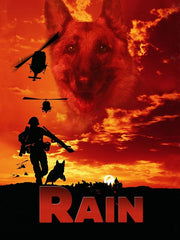 Rain (2006) DVD