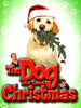 A cheerful addition to your holiday collection, The Dog Who Saved Christmas (2009) DVD features a yellow labrador in a Santa hat holding a pine branch on its cover. The festive green background is decorated with paw prints, while the title appears between two men surrounded by seasonal décor—highlighting the comedic spirit of this holiday film.