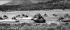Marine Battleground DVD DVD Movie Buffs Forever 