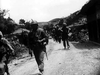 Tank Battalion DVD DVD Movie Buffs Forever 