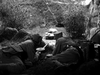 Tank Battalion DVD DVD Movie Buffs Forever 