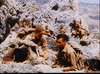 They Who Dare (1954) DVD