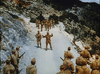 They Who Dare (1954) DVD