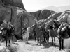 The Last Posse (1953) DVD