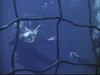 Two divers underwater are seen through a net; one holds a knife, the other extends an object. Bubbles float in the blue scene, capturing tense World War II moments from classic films like Submarine X-1 (1968) on DVD.