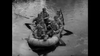 A group of five soldiers in uniform and helmets paddles an inflatable raft across a river, rifles and oars in hand, echoing classic World War II scenes featured in Silent Raiders (1954) DVD. The black-and-white image captures the era’s intensity.