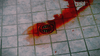 A metal floor drain on tiled flooring with a large, blood-like pool spreading across the tiles—reminiscent of scenes from the "Attack of the Killer Donuts (2016) DVD"—as it partially flows toward the drain.
