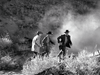 Three men in cowboy hats race through a dusty landscape—a thrilling scene echoing The Broken Star (1956) DVD, ideal for collectors of rare classic movies.