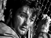 A man with tousled hair grips a chain-link fence, his somber gaze and dramatic shadows evoking classic noir. This black-and-white scene recalls the suspense of "Where Danger Lives (1950)"—now available on DVD.