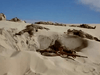 A soldier lies in a shallow desert trench, aiming his rifle under a clear blue sky, evoking scenes from the Sahara (1995) DVD with motionless figures scattered across the sand.